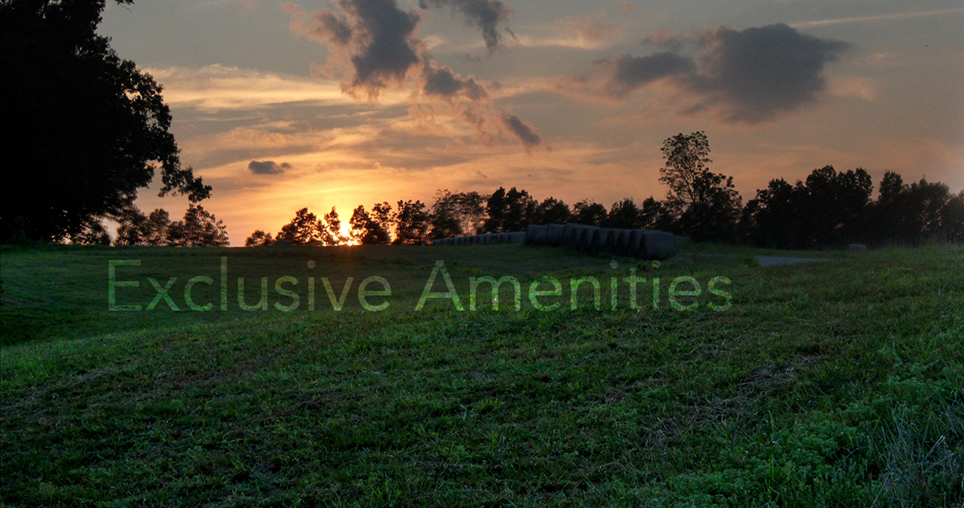  Spring River Landing